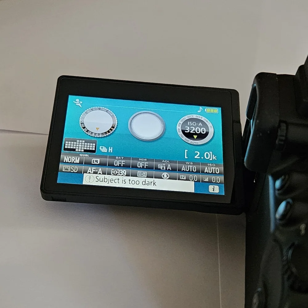 Nikon D5300 DSLR Camera 24.2MP With 18-55mm VR Lens +Charger.